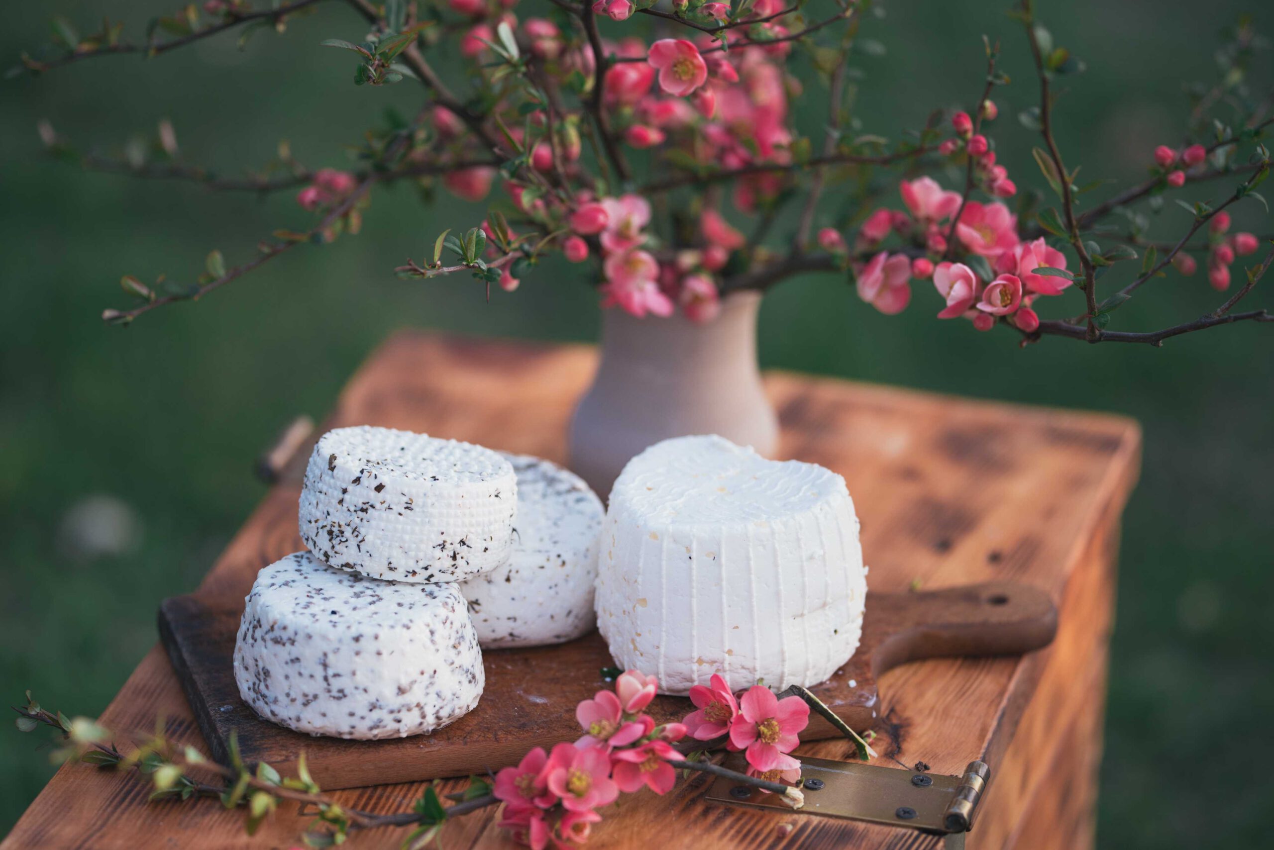 Gospodarstwo KOZI DAR - fot. 10